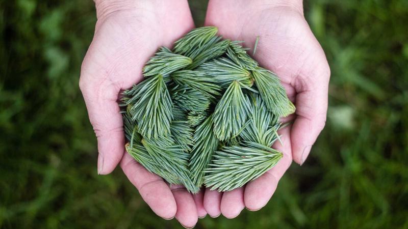 pc蛋蛋游戏试玩平台深度评测